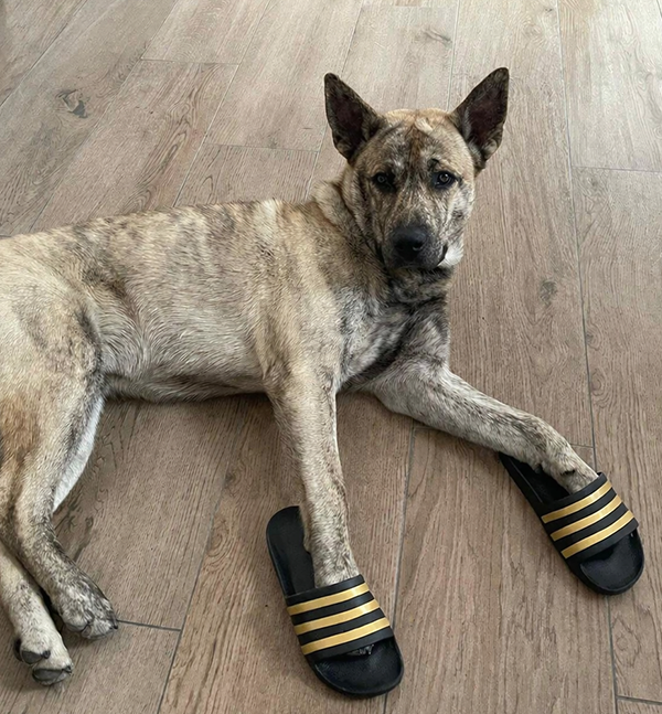 Hertler Sanierungen | Nikau | Professionelle Sanierungen in Leinfelden-Echterdingen